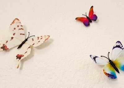 Schmetterlinge als Wanddeko sehen für Veränderung in der Praxis für ganzheitliche Ernährungsberatung, ernährungs-psychologische Beratung und Hypnosetherapie